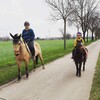 Liesbeth