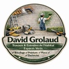 David