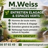 Wengi