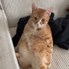 Mathilde