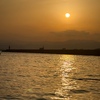 Fari