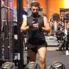 Hamed